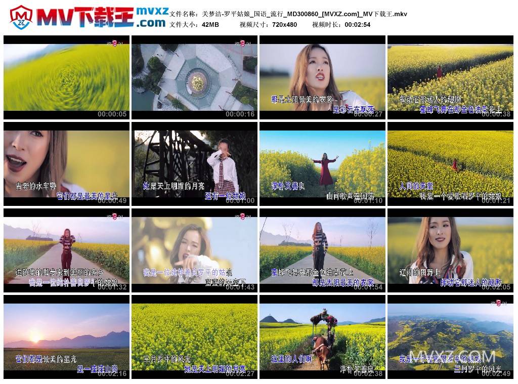关梦洁-罗平姑娘_国语_流行_MD300860